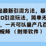 B站最新引流方法，暴力SEO引流玩法，简单无脑，一天可以量产几百个视频（附带软件）