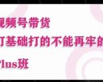 大播汇·视频号带货PULS班，视频号底层逻辑，起号自然流鱼塘等玩法