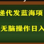 2023最新蓝海快递代发项目，小白零成本照抄也能日入300+