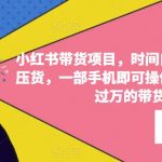 小红书带货项目，时间自由、零门槛无压货，一部手机即可操作，普通人月收过万的带货课