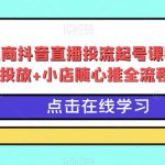 峰教练电商抖音直播投流起号课程：巨量千川全流程投放+小店随心推全流程+起号方式