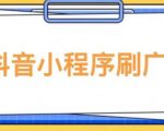 【低保项目】抖音小程序刷广告变现玩法，需要自己动手去刷，多劳多得【详细教程】