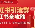 【白龙笔记】价值980元的《小红书运营和引流课》，日引100高质量粉