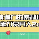 非常偏门的暴利项目，仅靠打赏月入2W+