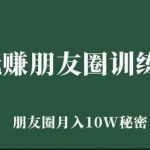 玩赚朋友圈系统课，朋友圈月入10W的秘密，​7天系统图文课程