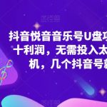 抖音音乐号U盘项目，一单几十利润，无需投入太多，一台手机，几个抖音号就能开始