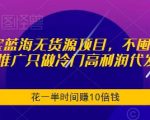 淘宝蓝海无货源项目，不囤货不推广只做冷门高利润代发，花一半时间赚10倍钱