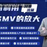 如何利用付费流量GMV的放大，微付费、纯付费的实操型打法