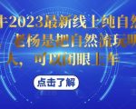 久久疯牛2023最新线上纯自然流起号课程，老杨是把自然流玩明白的人，可以闭眼上车