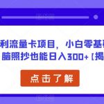 正规暴利流量卡项目，小白零基础零成本无脑照抄也能日入300+【揭秘】