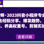 云老师·2023抖音小程序专业变现课，含经验分享、爆发趋势、变现逻辑、养高权重号、剪辑实操等