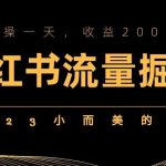 2023小而美的项目，小红书流量掘金，实操一天，收益200+【揭秘】