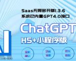 全网首发SAAS无限多开版CHATGPT小程序+H5，系统已内置GPT4.0接口，可无限开通坑位