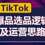 TIKTOK爆品选品逻辑及运营思路：解决网络环境快速入门TIKTOK