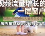 任性大舅·宠物行业短视频运营课(不讲废话)，短视频流量增长的一层窗户纸，解决流量焦虑&实现降本增效