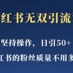 小红书无双课一天引50+女粉，不用做视频发视频，小白也很容易上手拿到结果【仅揭秘】