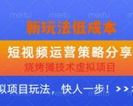 低成本烧烤摊技术虚拟项目新玩法，短视频运营策略分享，快人一步【揭秘】