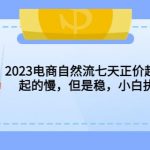 2023电商自然流七天正价起号实战课：起的慢，但是稳，小白执行即可！