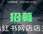 红商联盟·小红书无货源电商1.0，0粉丝无需囤货，小白也可以轻松上手的无货源项目