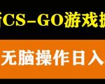 最新CSGO游戏搬砖游戏，无需挂机小白无脑也能日入300+