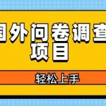 国外问卷调查项目，日入300+，在家赚美金【揭秘】