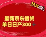 外面最高收费到3980的京东撸货项目，号称日产300+的项目（详细玩法视频教程）