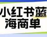 价值2980的小红书商单项目暴力起号玩法，一单收益200-300（可批量放大）