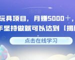 益智玩具项目，月赚5000＋，小白新手坚持做就可以达到【揭秘】