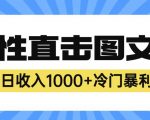 2023最新冷门暴利赚钱项目，人性直击图文号，日收入1000+【揭秘】