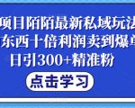 蓝海项目陌陌最新私域玩法，20 的东西十倍利润卖到爆单，日引300+精准粉【揭秘】