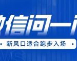 全网首发微信问一问新风口变现项目（价值1999元）【揭秘】