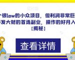 一个很LOW的小众项目，但利润非常巨大，闷声发大财的首选副业，操作的好月入过万【揭秘】