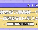 视频号做下雨视频一个账号一周涨粉10W+年入100W【揭秘】