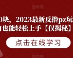 一天800块，2023最新反撸PZ玩法，小白也能轻松上手【仅揭秘】