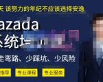 熊猫老师·2023年LAZADA系统课程（跨境店+本土店），一套能解决实际问题的LAZADA系统课程