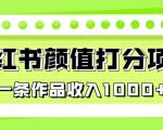 最新蓝海项目，小红书颜值打分项目，一条作品收入1000+【揭秘】