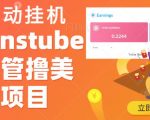 外面收费几千上万的VISIONSTUBE愿景管撸美金项目，单日收益30-50美金+工作室可批量多开搞