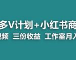 【蓝海项目】多多V计划+小红书商单一个视频三份收益工作室月入10W