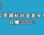 宝哥揭秘抖音美女号玩法，日赚3000+【揭秘】