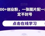 日引200+创业粉，一张图片配一段话，稳定不封号【揭秘】