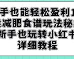 新手也能轻松盈利1W，卖减肥食谱玩法秘籍，新手也玩转小红书详细教程【揭秘】