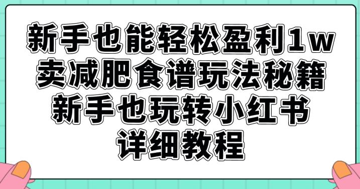 新手也能轻松盈利1w，卖减肥食谱玩法秘籍，新手也玩转小红书详细教程【揭秘】