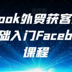 FACEBOOK外贸获客产品出海，0基础入门FACEBOOK营销课程