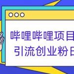 哔哩哔哩项目拆解引流创业粉日引300+小白可轻松上手【揭秘】