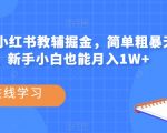 热门蓝海，小红书教辅掘金，简单粗暴无需剪辑，新手小白也能月入1W+【揭秘】