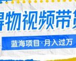 得物视频带货项目，矩阵操作，月入过万的蓝海项目