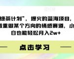 “绿茶计划”，爆火的蓝海项目，着重做某个方向的情感赛道，小白也能轻松月入2W+【揭秘】