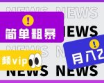 简单粗暴零成本，高回报，全网视频VIP掘金项目，月入2万＋【揭秘】