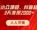 蓝海小众项目，抖音故事号，三天变现2000+，人人可做！