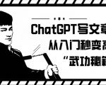 CHATGPT写文章，从入门秒变高手的‘武功秘籍’【揭秘】